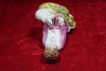Rare Old Porcelain Figurine – Halloween Theme - Image 7