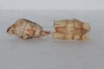 Handmade Bone Elephant Pair Figurines – Vintage Style Animal Statues, Good Luck Decor - Image 5