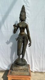 Brass Standing Parvati – Chola Style Sculpture - Image 2