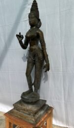Brass Standing Parvati – Chola Style Sculpture - Image 4
