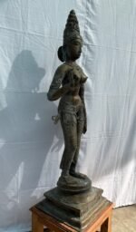 Brass Standing Parvati – Chola Style Sculpture - Image 5