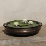 3 Feet Wide Brass Urli (Varpu)- Elegant Antique Brass Vessel For Home Decor