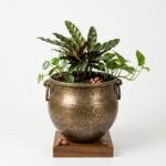 Antique Brass Hand Hammered Vessel – 1.6 ft Authentic Vintage Water Pot Home Décor Planter